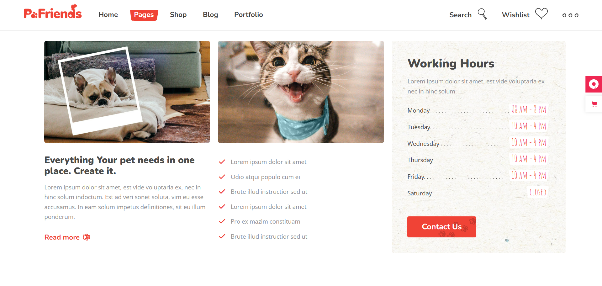 veterinary website design